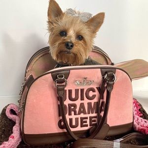 “Juicy Drama Queen” pet carrier.